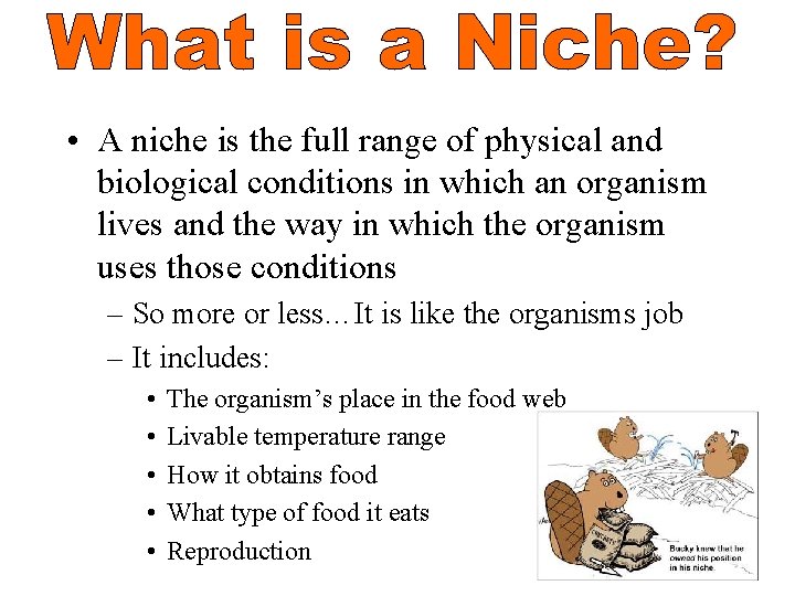  • A niche is the full range of physical and biological conditions in