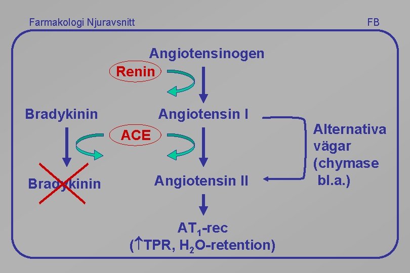 Farmakologi Njuravsnitt FB Angiotensinogen Renin Bradykinin Angiotensin I ACE Bradykinin Angiotensin II AT 1