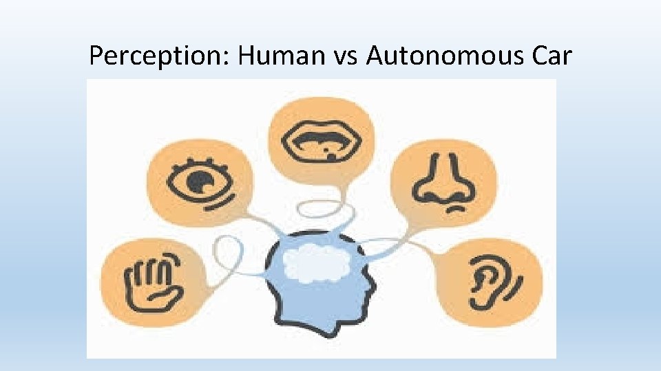 Perception: Human vs Autonomous Car 