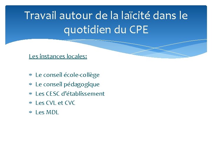 Travail autour de la laïcité dans le quotidien du CPE Les instances locales: Le