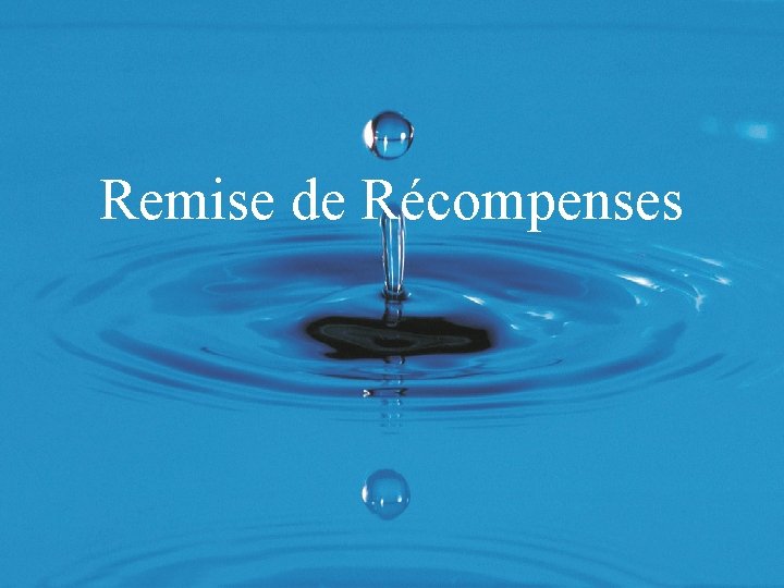 Remise de Récompenses 