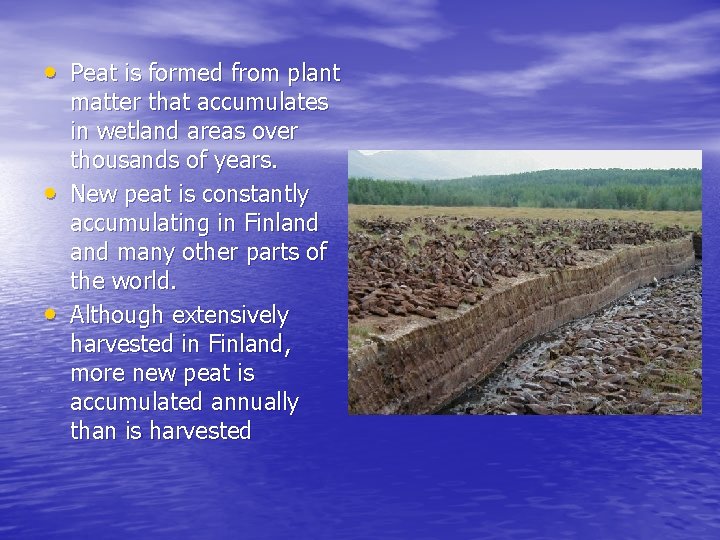  • Peat is formed from plant • • matter that accumulates in wetland