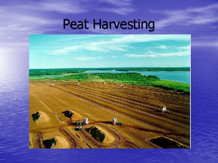 Peat Harvesting 
