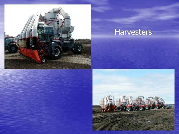 Harvesters 