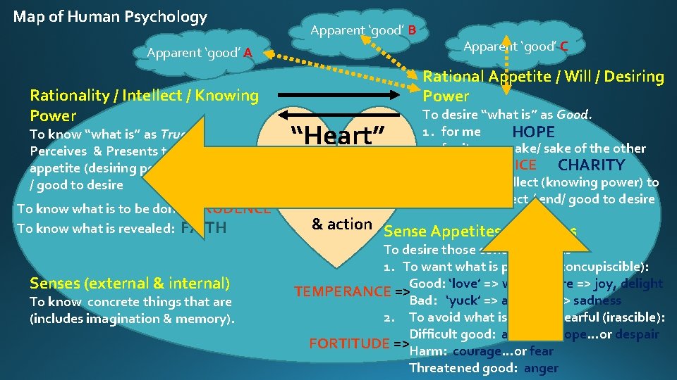 Map of Human Psychology Apparent ‘good’ B Apparent ‘good’ A Rationality / Intellect /