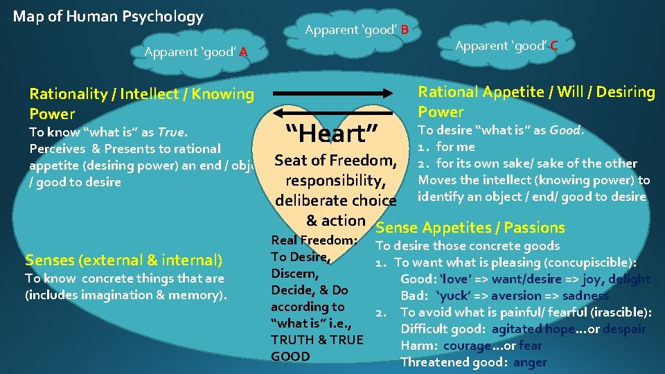 Map of Human Psychology Apparent ‘good’ B Apparent ‘good’ A Rationality / Intellect /