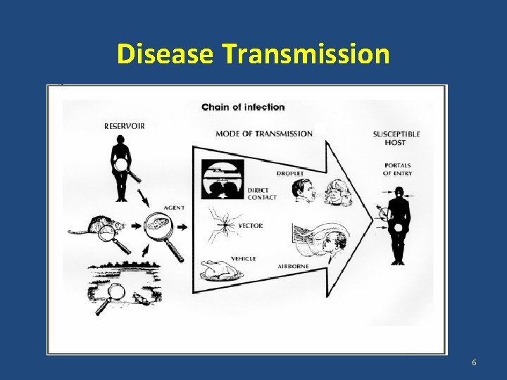 Disease Transmission 6 