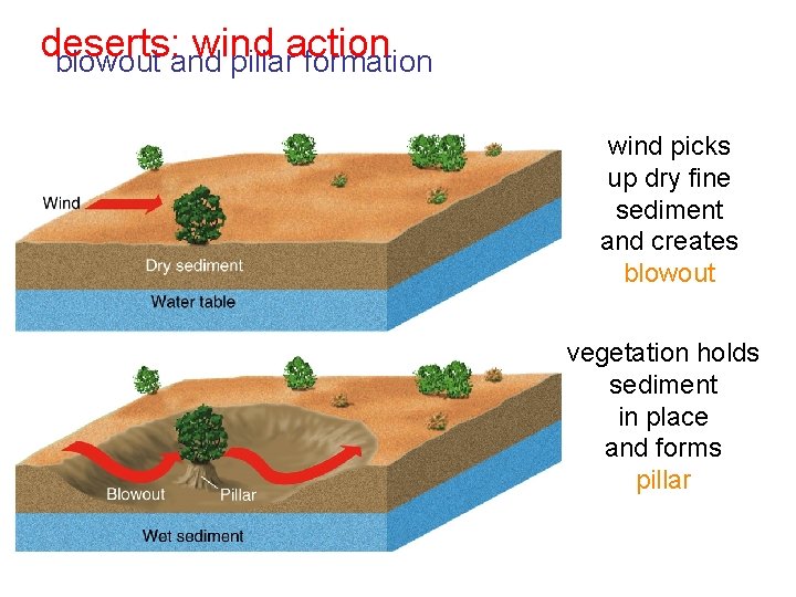 deserts: wind action blowout and pillar formation wind picks up dry fine sediment and