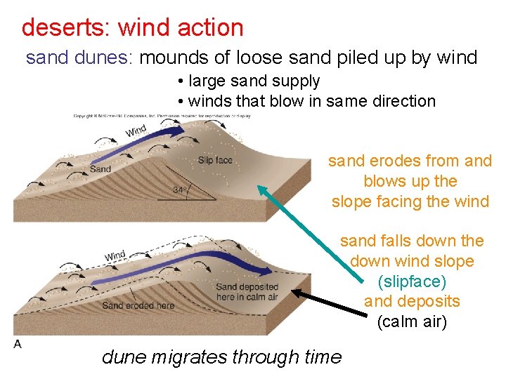 deserts: wind action sand dunes: mounds of loose sand piled up by wind •