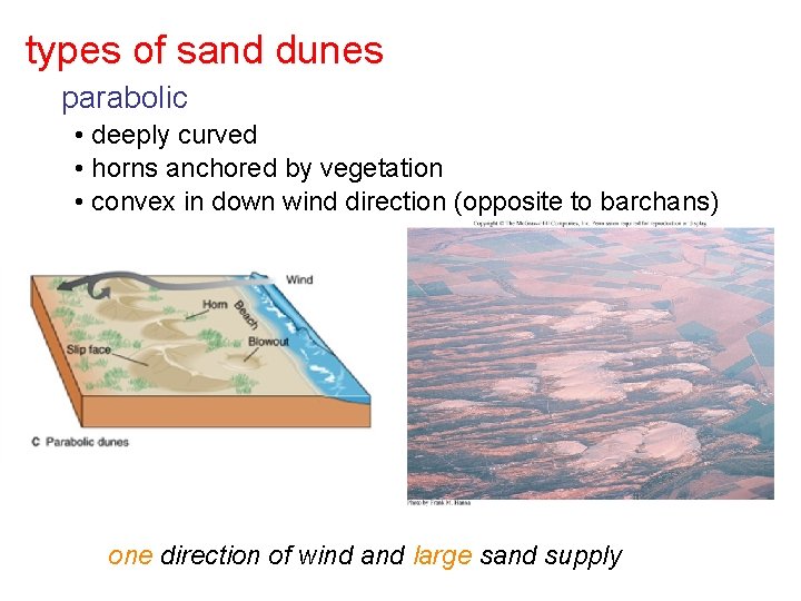 types of sand dunes parabolic • deeply curved • horns anchored by vegetation •