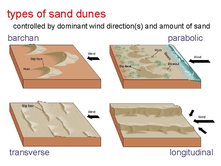 types of sand dunes controlled by dominant wind direction(s) and amount of sand barchan