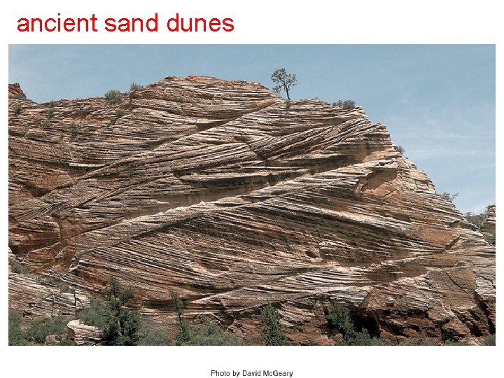 ancient sand dunes 