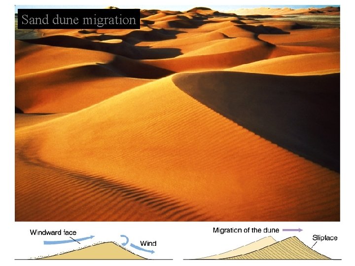 Sand dune migration 