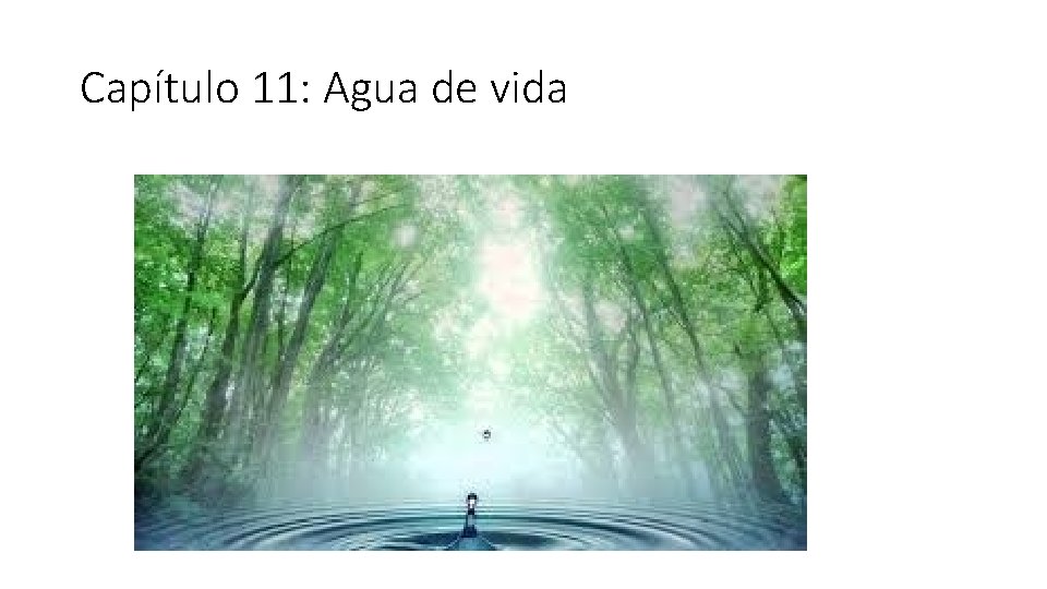 Capítulo 11: Agua de vida 