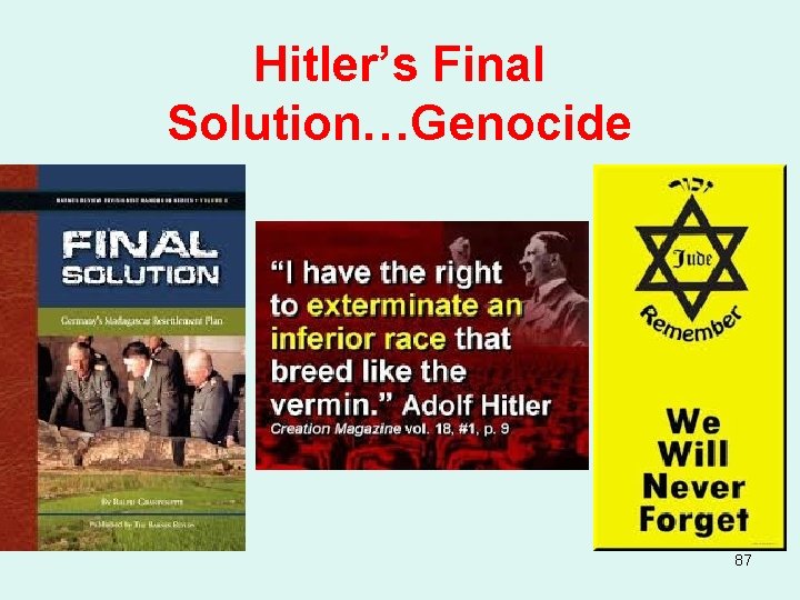 Hitler’s Final Solution…Genocide 87 