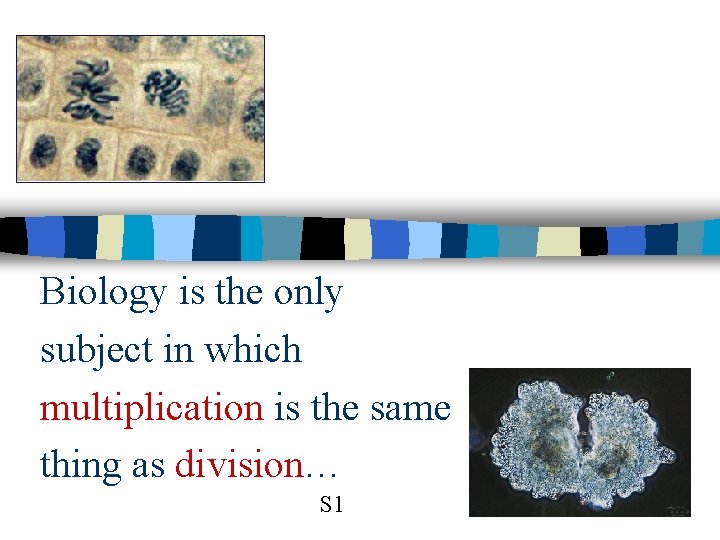 Biology is the only subject in which multiplication is the same thing as division…