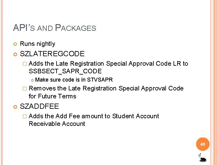 API’S AND PACKAGES Runs nightly SZLATEREGCODE � Adds the Late Registration Special Approval Code