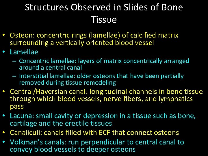 Structures Observed in Slides of Bone Tissue • Osteon: concentric rings (lamellae) of calcified