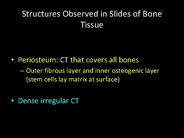 Structures Observed in Slides of Bone Tissue • Periosteum: CT that covers all bones