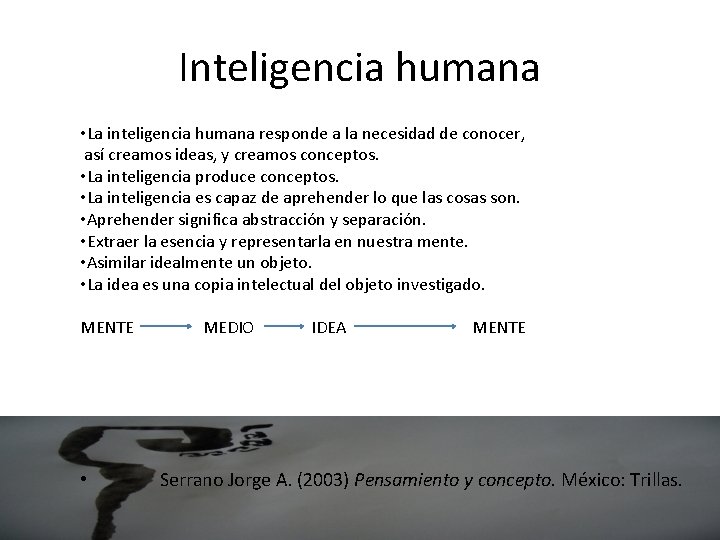Inteligencia humana • La inteligencia humana responde a la necesidad de conocer, así creamos