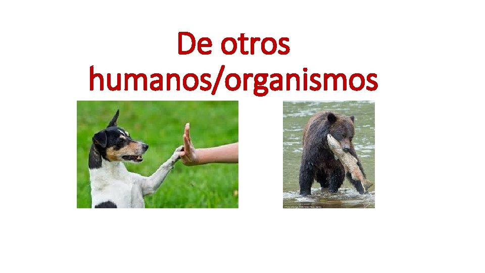 De otros humanos/organismos 
