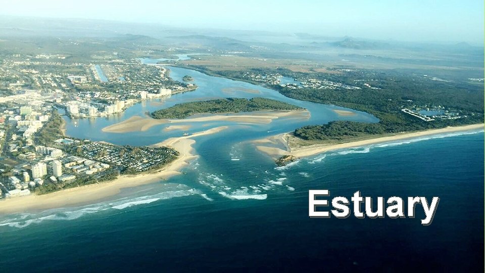 Estuary ○ ○ ○ Where a river meets the ocean Part wet part dry