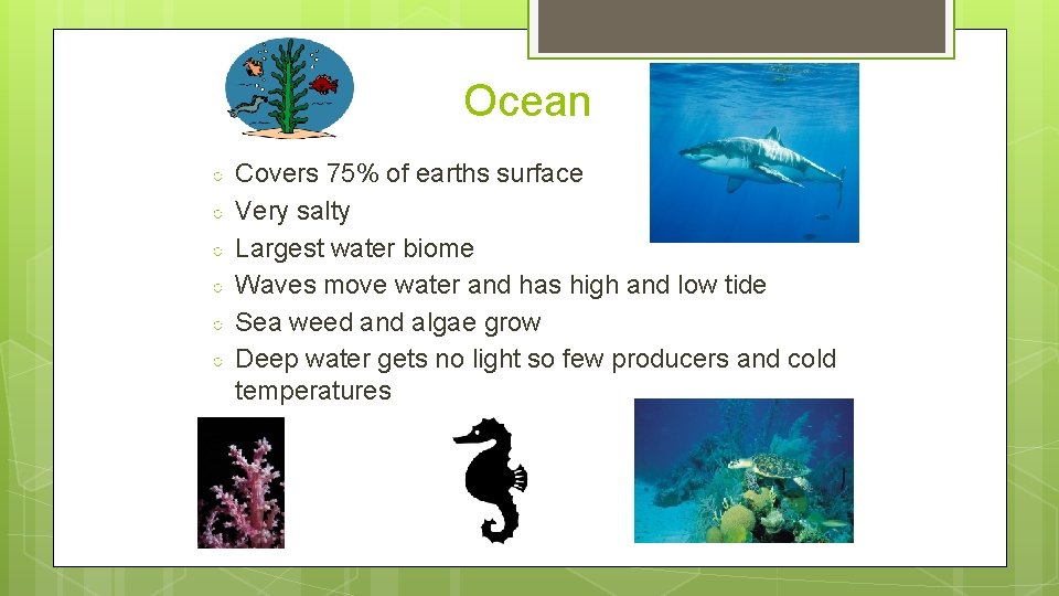 Ocean ○ ○ ○ Covers 75% of earths surface Very salty Largest water biome