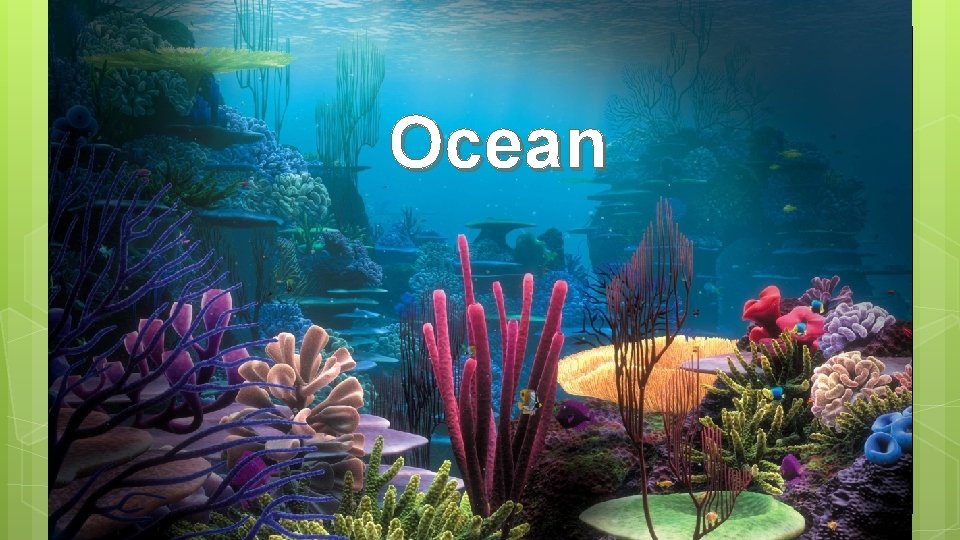 Ocean ○ ○ ○ Ocean Covers 75% of earths surface Very salty Largest water