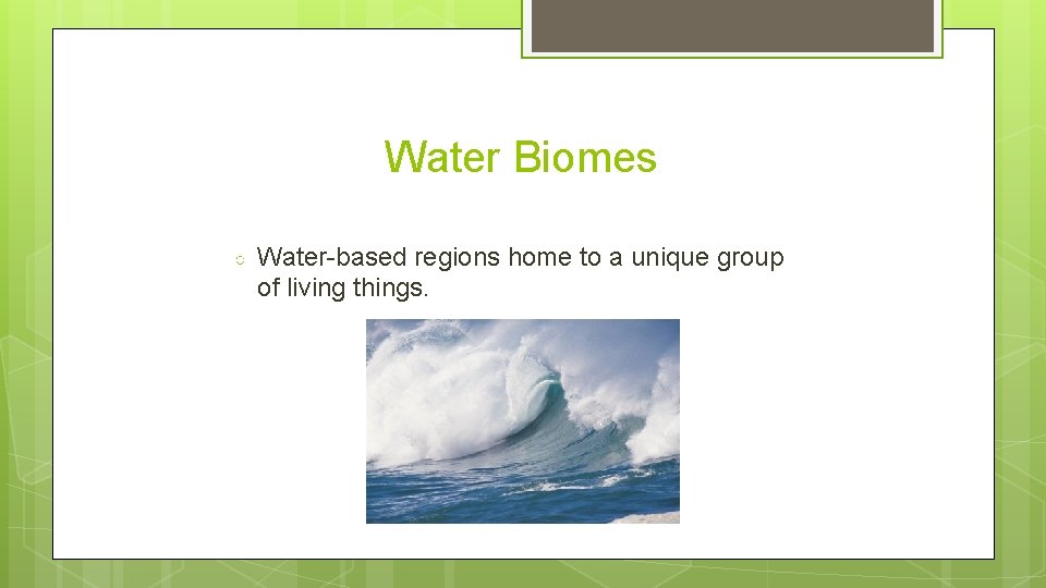 Water Biomes ○ Water-based regions home to a unique group of living things. 