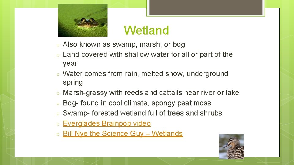 Wetland ○ ○ ○ ○ Also known as swamp, marsh, or bog Land covered
