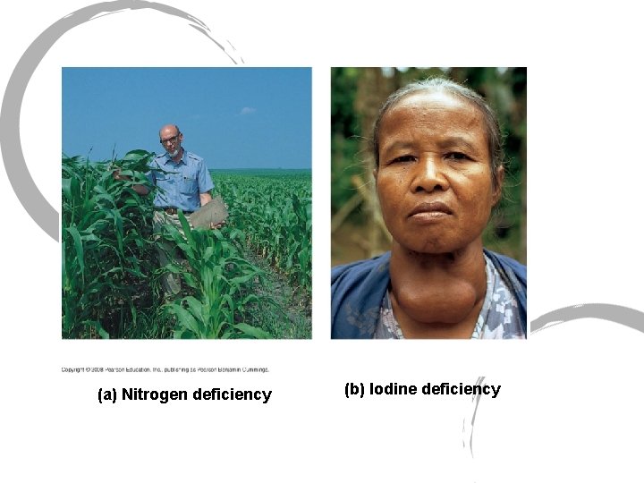 (a) Nitrogen deficiency (b) Iodine deficiency 