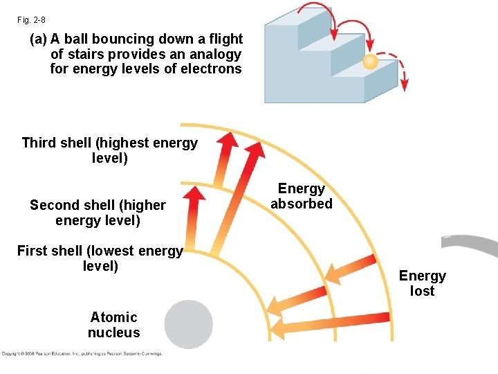 Fig. 2 -8 (a) A ball bouncing down a flight of stairs provides an