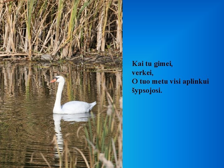 Kai tu gimei, verkei, O tuo metu visi aplinkui šypsojosi. 