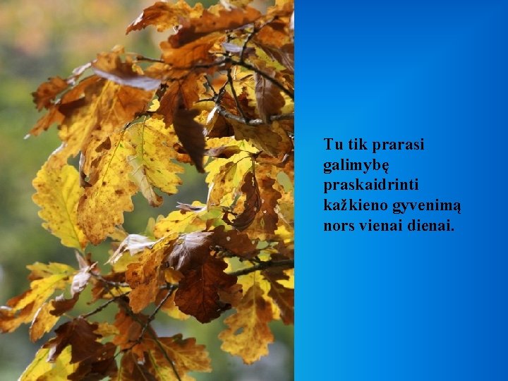 Tu tik prarasi galimybę praskaidrinti kažkieno gyvenimą nors vienai dienai. 