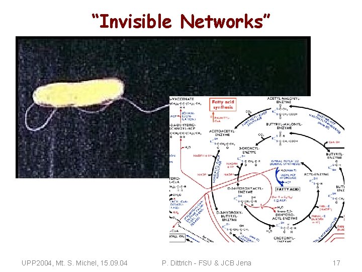 “Invisible Networks” UPP 2004, Mt. S. Michel, 15. 09. 04 P. Dittrich - FSU