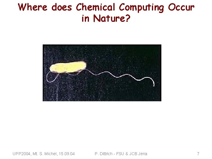 Where does Chemical Computing Occur in Nature? UPP 2004, Mt. S. Michel, 15. 09.