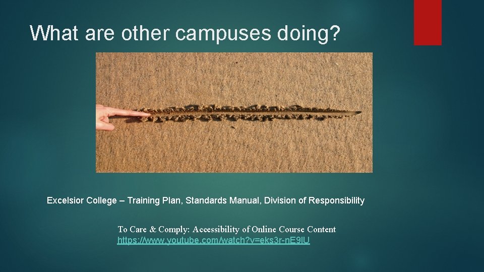 What are other campuses doing? Excelsior College – Training Plan, Standards Manual, Division of