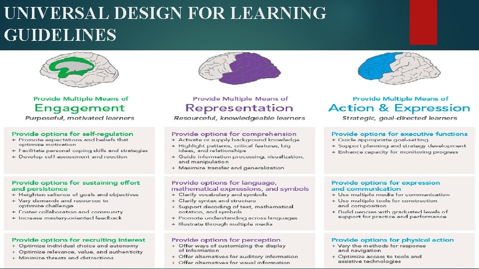 UNIVERSAL DESIGN FOR LEARNING GUIDELINES 