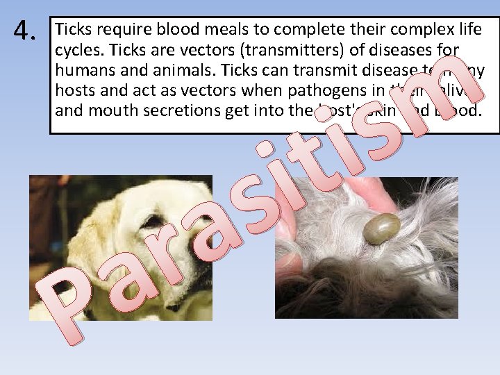 4. Ticks require blood meals to complete their complex life cycles. Ticks are vectors