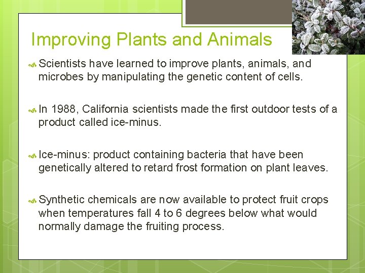 Improving Plants and Animals Scientists have learned to improve plants, animals, and microbes by