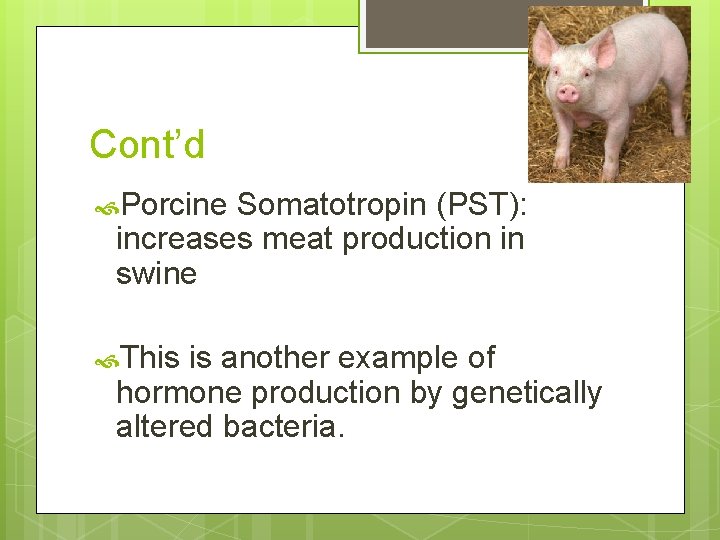 Cont’d Porcine Somatotropin (PST): increases meat production in swine This is another example of