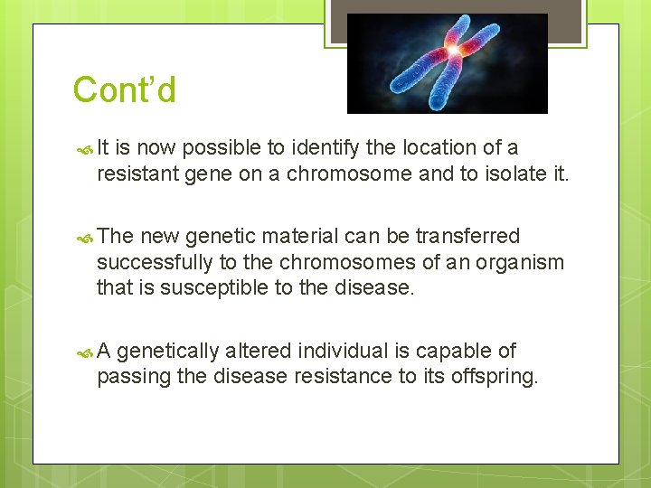 Cont’d It is now possible to identify the location of a resistant gene on