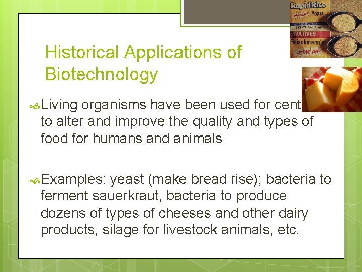 Biotechnology What does Bio mean Bio means life