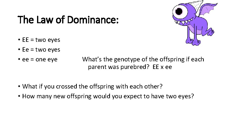 The Law of Dominance: • EE = two eyes • Ee = two eyes