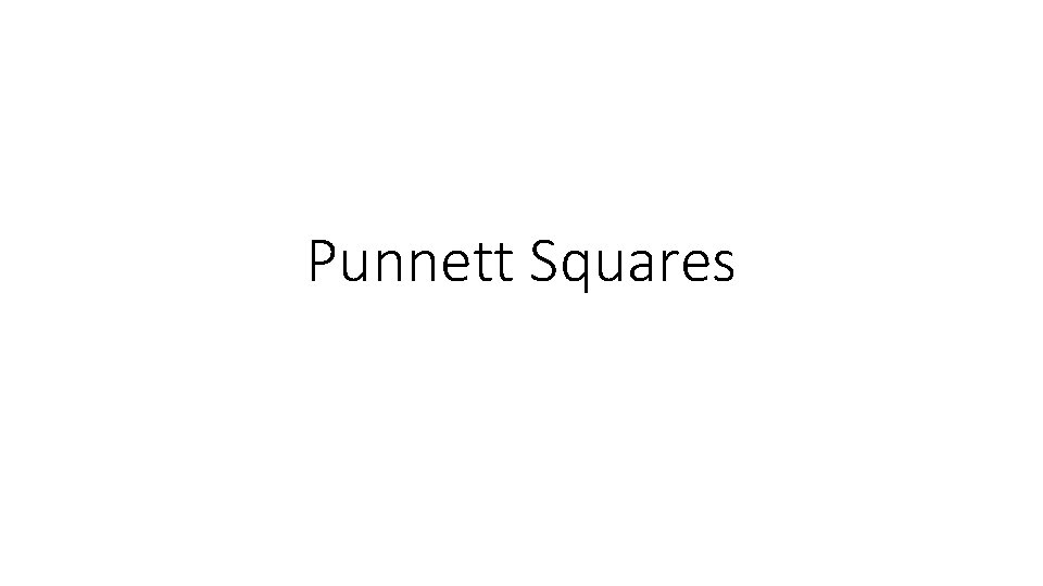 Punnett Squares 