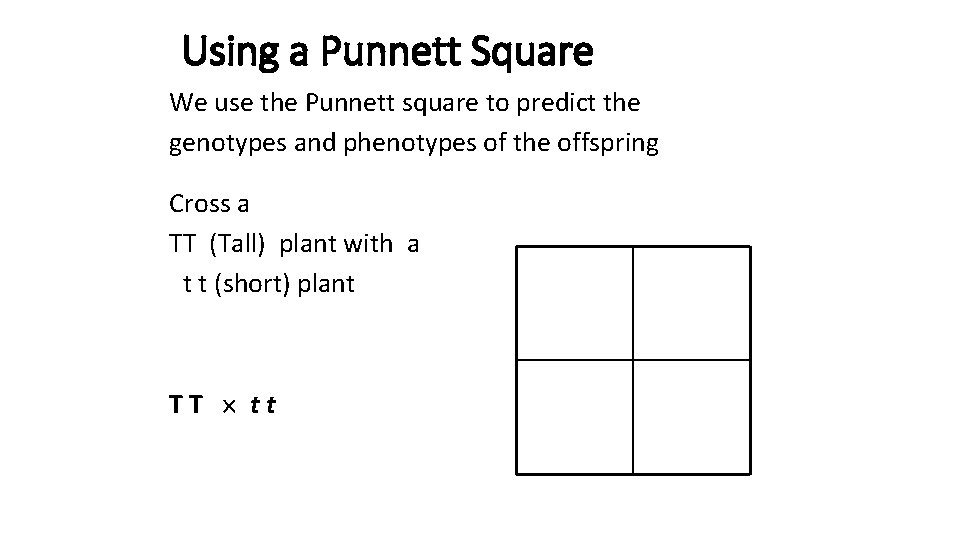 Using a Punnett Square We use the Punnett square to predict the genotypes and