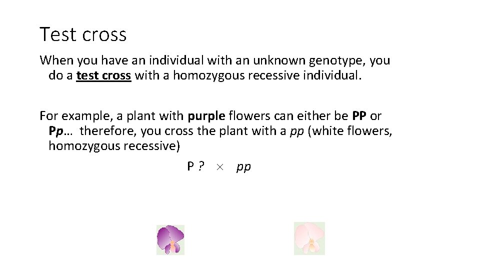 Test cross When you have an individual with an unknown genotype, you do a