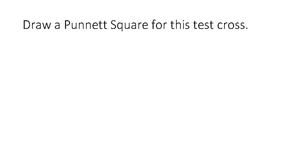 Draw a Punnett Square for this test cross. 