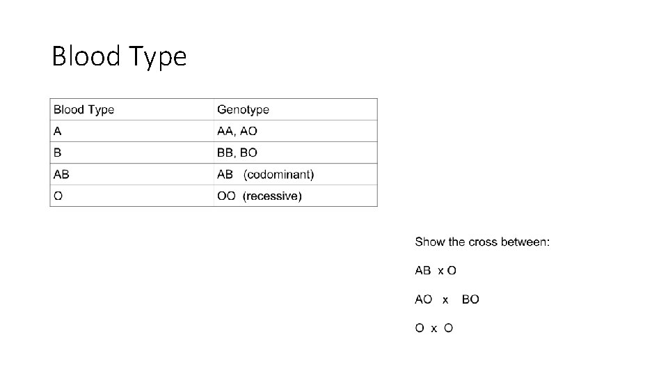 Blood Type 