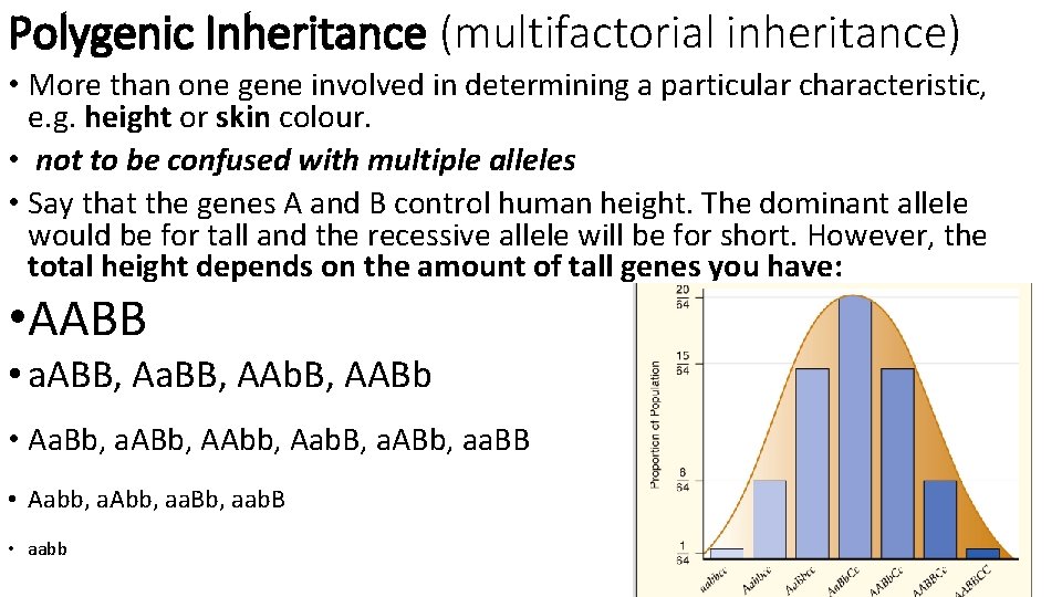Polygenic Inheritance (multifactorial inheritance) • More than one gene involved in determining a particular